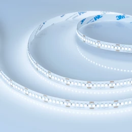 Фото #1 товара Светодиодная лента RT-A240-10mm 24V Cool 8K (19.2 W/m, IP20, 3528, 5m) (Arlight, 19.2 Вт/м, IP20)