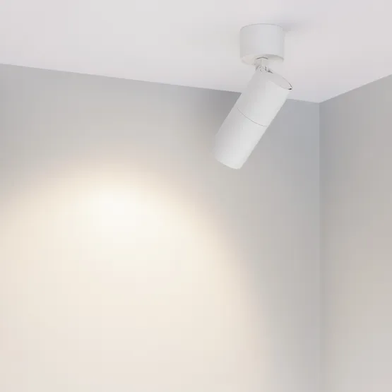 Фото #4 товара Светильник SP-ARTEMIS-SURFACE-FLAP-R55-12W Day4000 (WH, 8-80 deg, 230V) (Arlight, IP20 Металл, 5 лет)