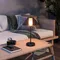 Минифото #3 товара Светильник настольный SP-BAGLIORE-3.2W Warm2700 (Черный, 280 deg, 5V) (Arlight, IP54 Металл, 2 года)