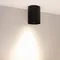Минифото #2 товара Светильник SP-FOCUS-R110-18W Day4000 (BK, 50 deg, 230V) (Arlight, IP54 Металл, 5 лет)